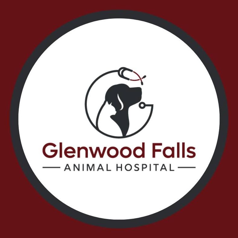 Glenwood Falls Animal Hospital