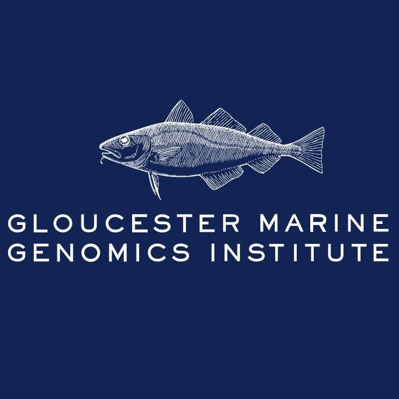 Gloucester Marine Genomics Institute