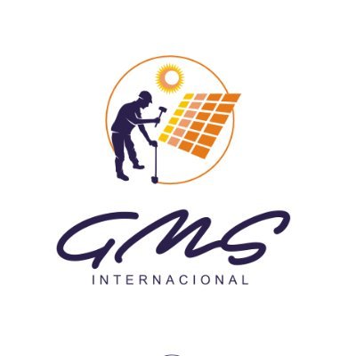 The GMS Internacional Group