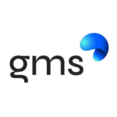 GMS Seguridad