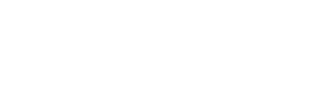 Grupo Opsa