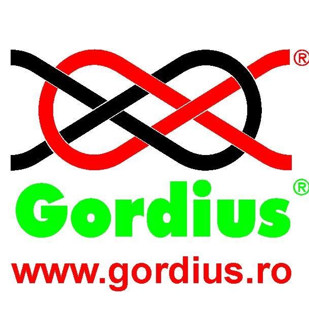 Romlink Invest SRL - GORDIUS