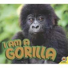 Gorilla