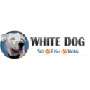 White Dog