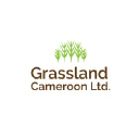 Grassland Cameroon