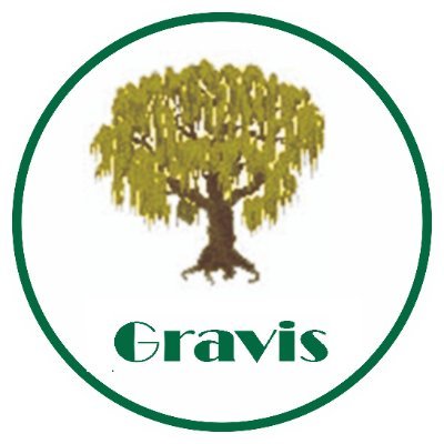 The Gravis