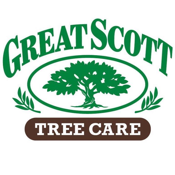 Great Scott Tree Care