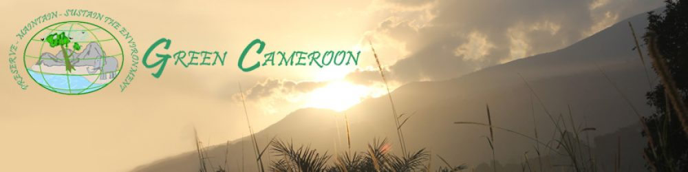 Green Cameroon