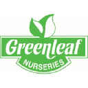 Greenleaf Nurseries