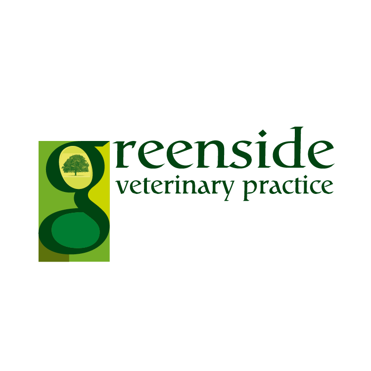 Greenside Veterinary Practice