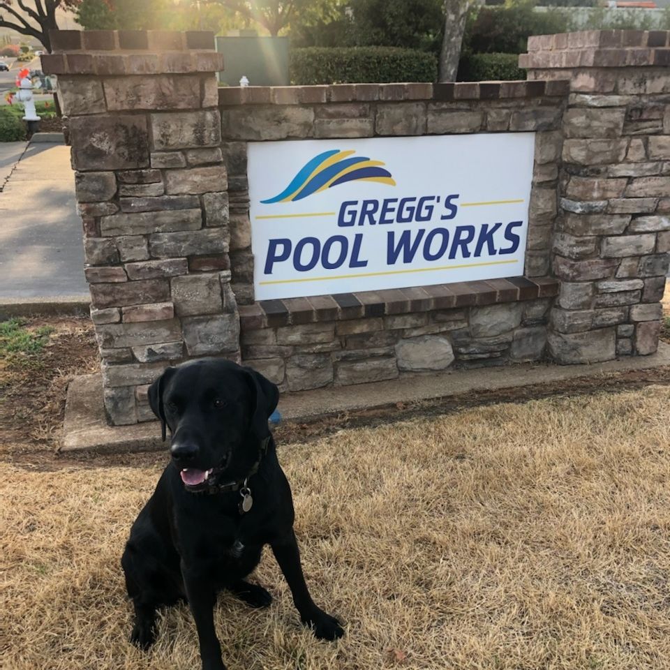 Gregg's Pool Works