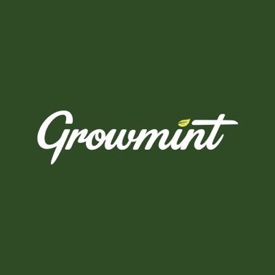 Growmint Digital Agency