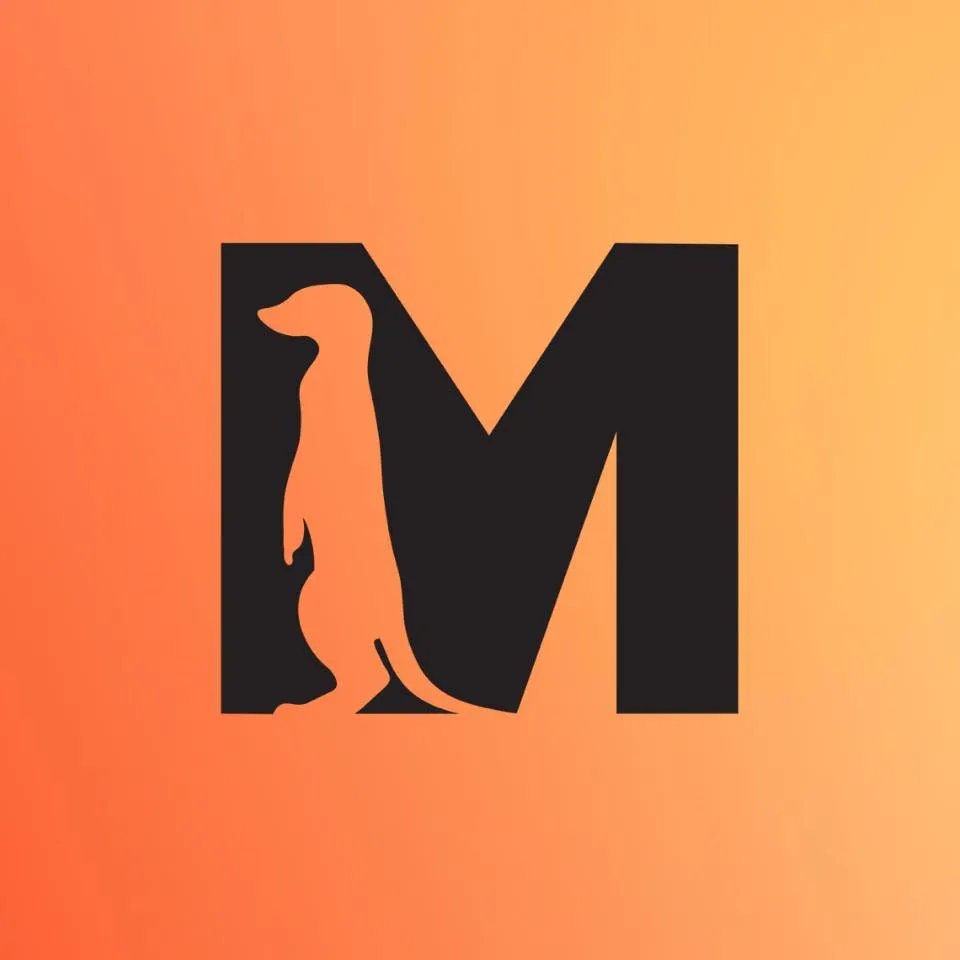 Grow With Meerkat