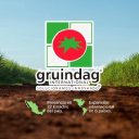 Gruindag International S.A. de C.V