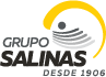 Grupo Salinas