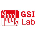 Gsi Lab