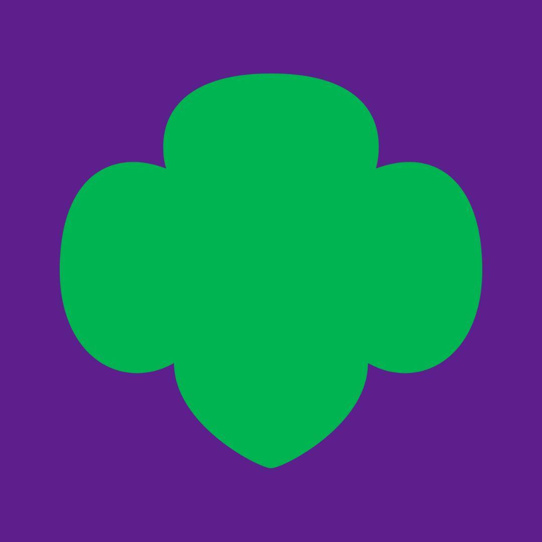 Girl Scouts Of Southeastern Michigan