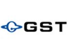 Golden Star Technology Inc (Gst)