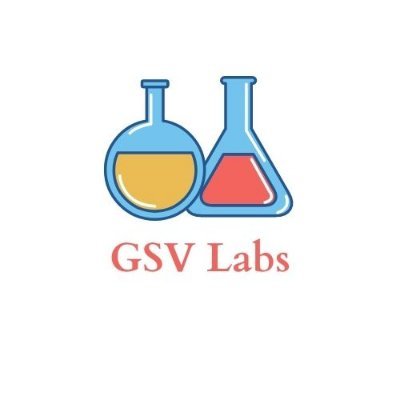 Gsvlabs