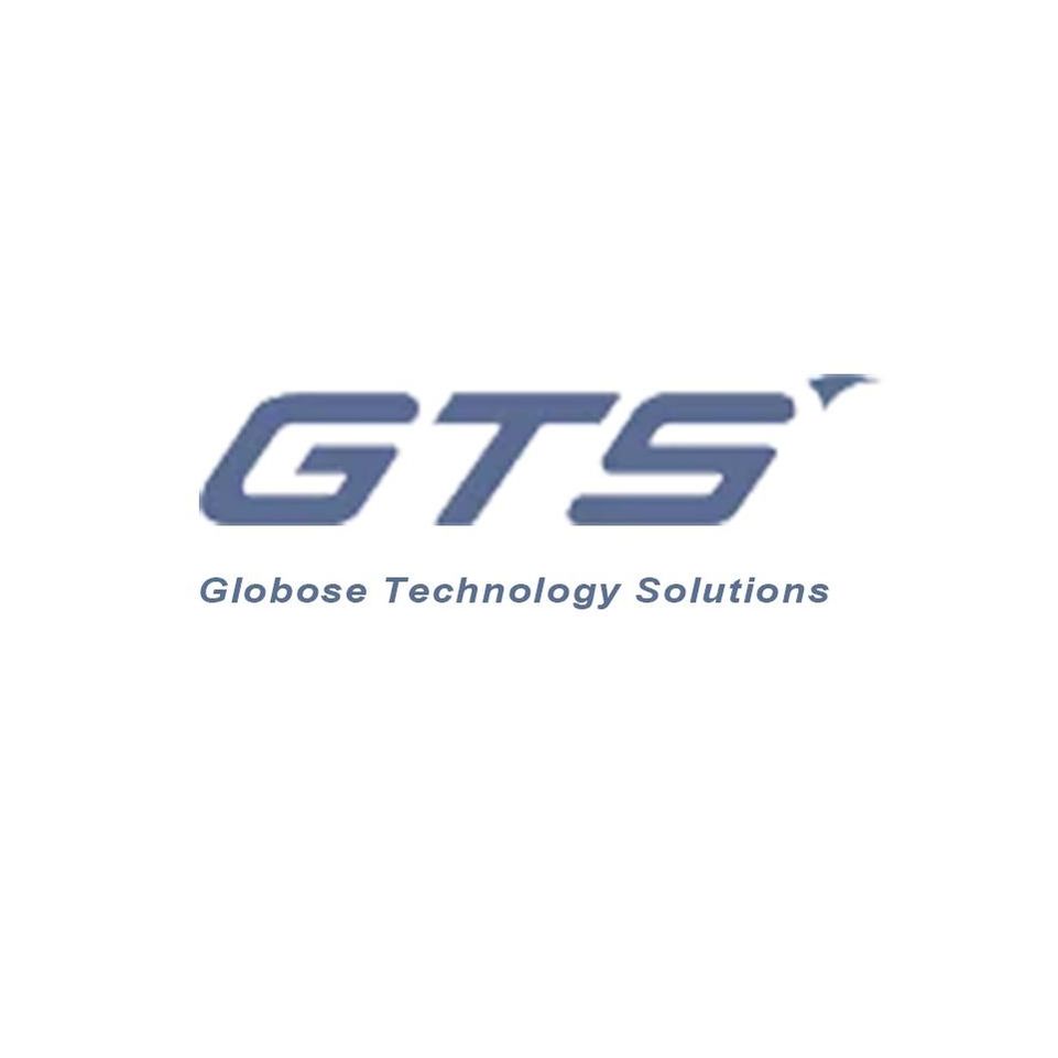 Global Technology Solutions