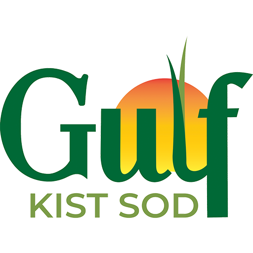 Gulf Kist Sod