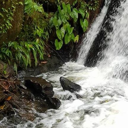 Guyane Evasion