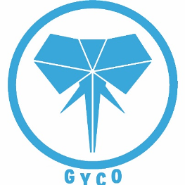 Gyco  Global Youth Conference