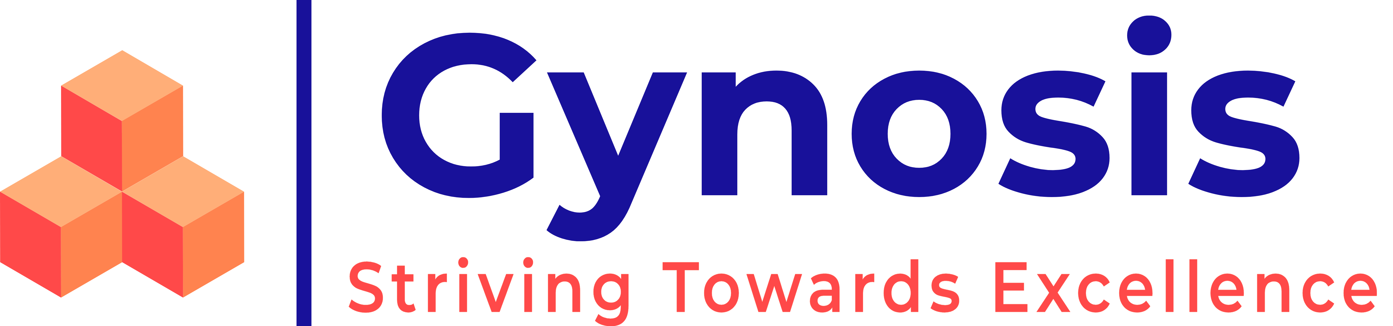 Gynosis Information Technology Private Limited