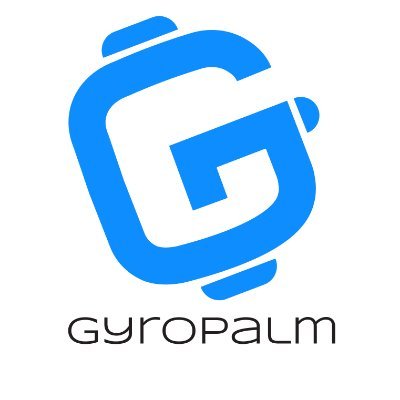 GyroPalm