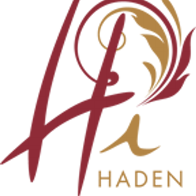 Haden Interactive