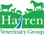 Hafren Veterinary Group