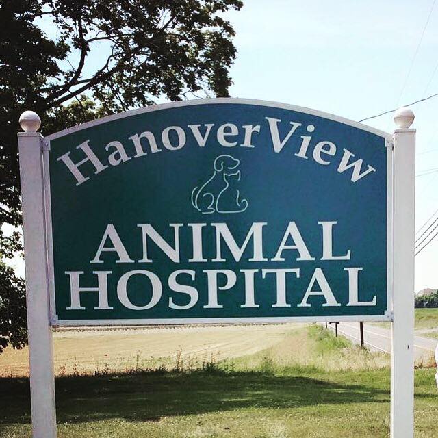 HanoverView Animal Hospital