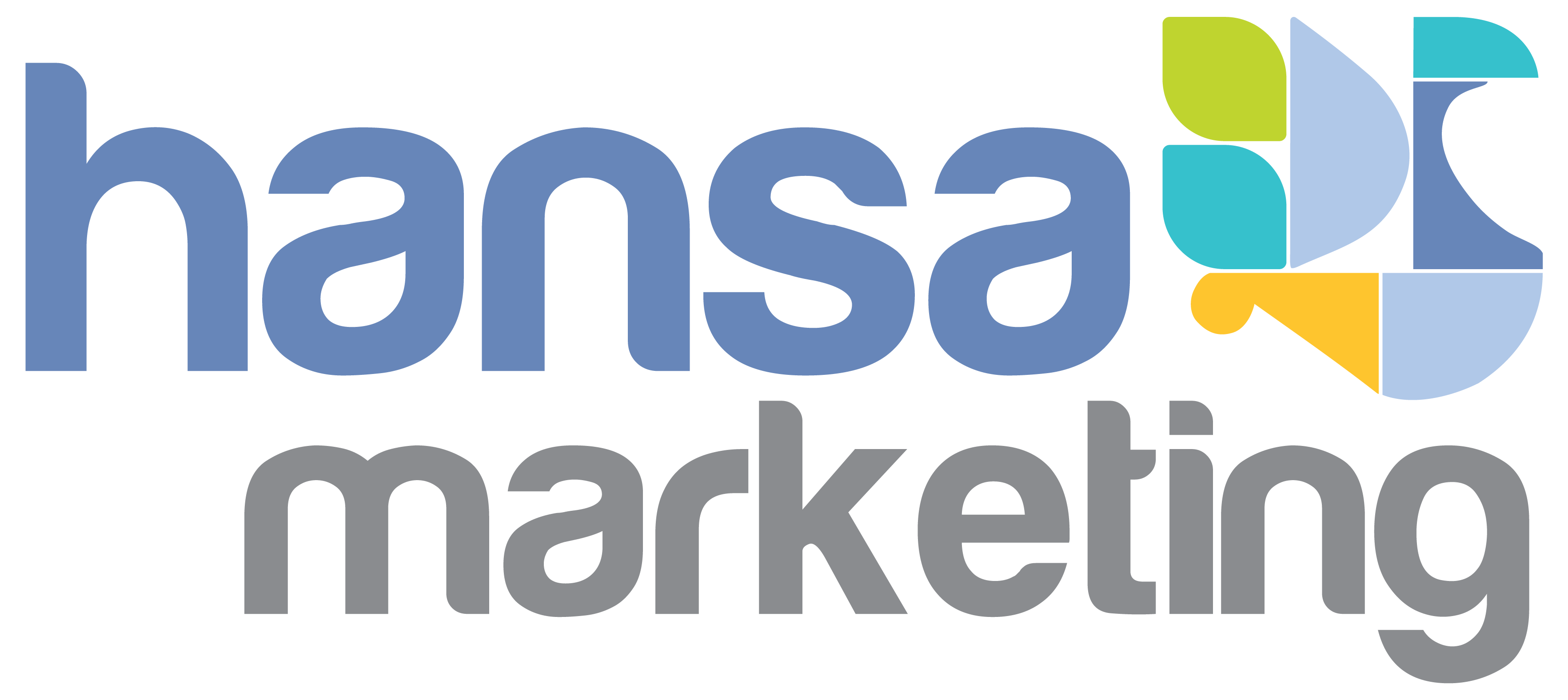 Hansa Marketing Services