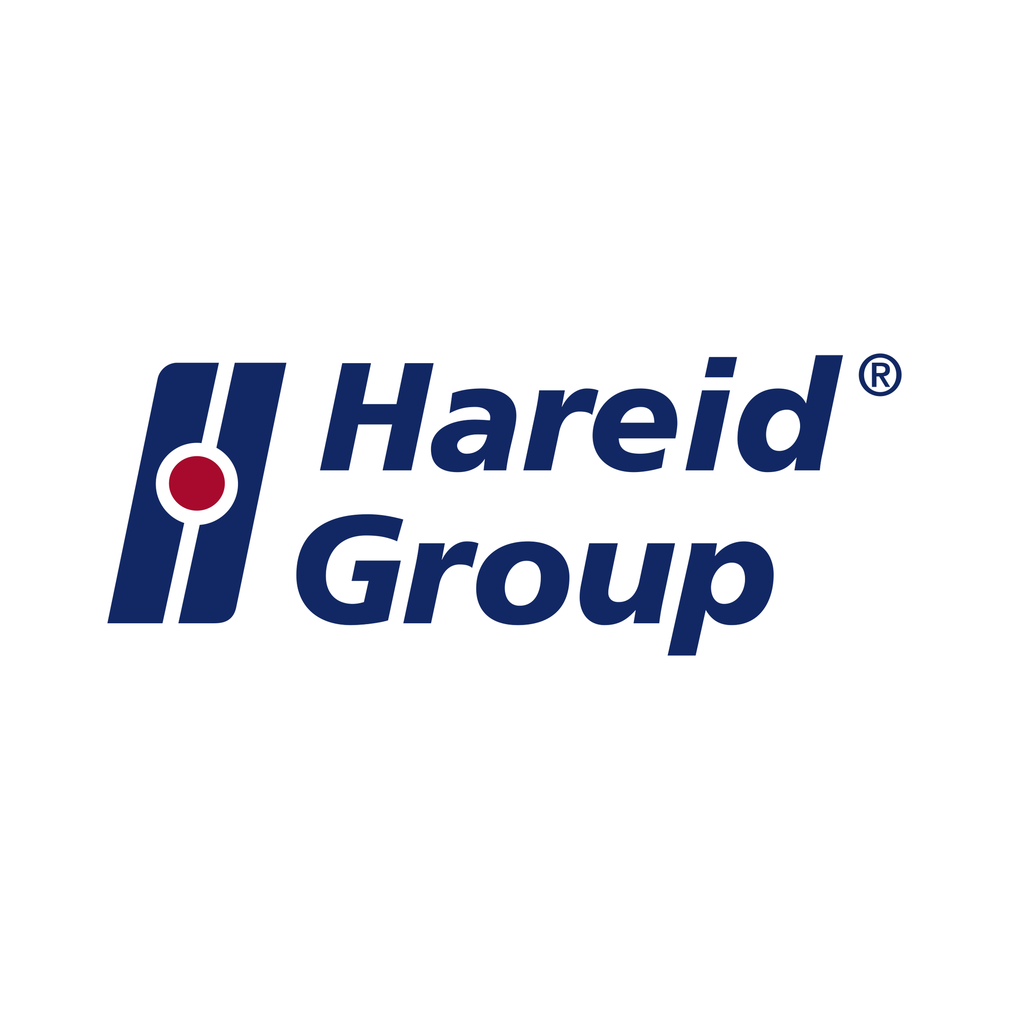 The Hareid Group