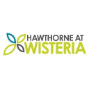 Hawthorne at Wisteria