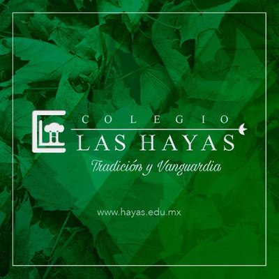 COLEGIO LAS HAYAS