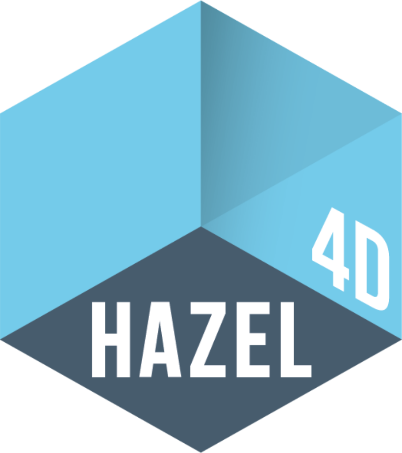 Hazel 4D