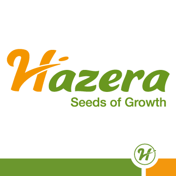 Hazera