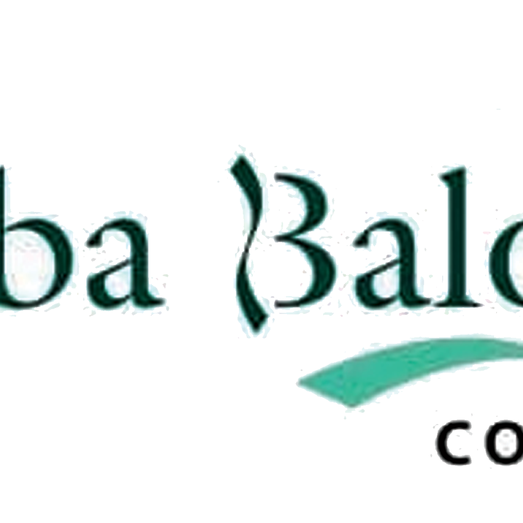 Habiba Balogun Consulting