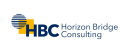 Horizon Bridge Consulting