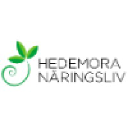 Hedemora Näringsliv Ab