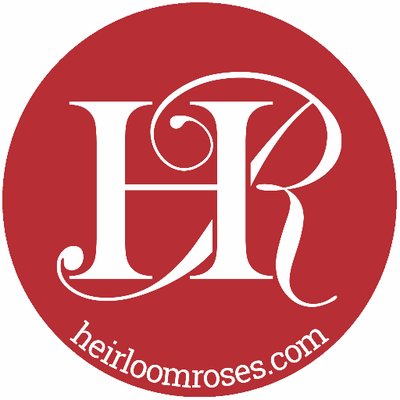 Heirloom Roses