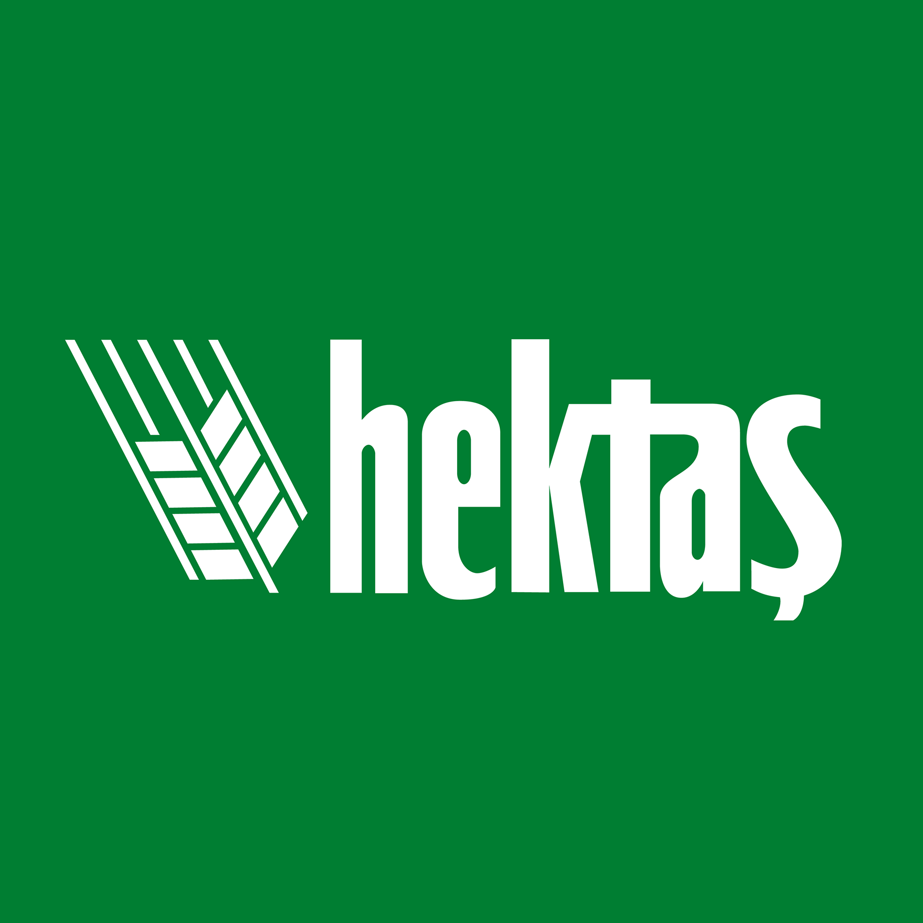 Hektas Ticaret T.A.S