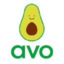 Avo Insurance