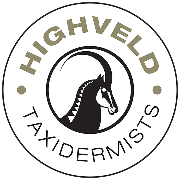 Highveld Taxidermists