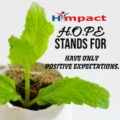 Hi Impact Consultants Pvt