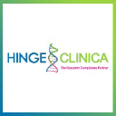 Hinge Clinica