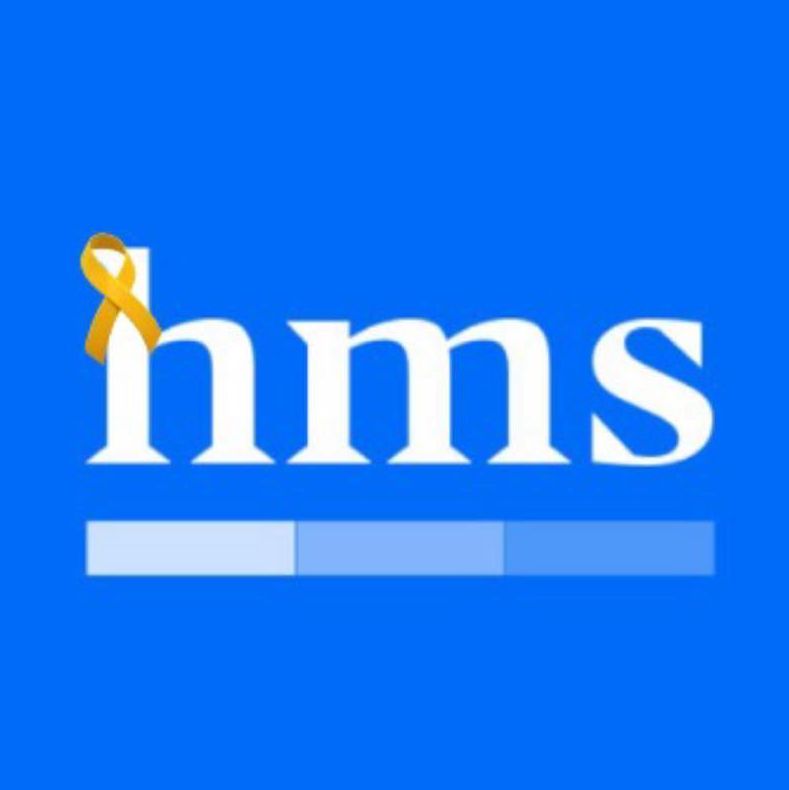 HMS Consulting Group