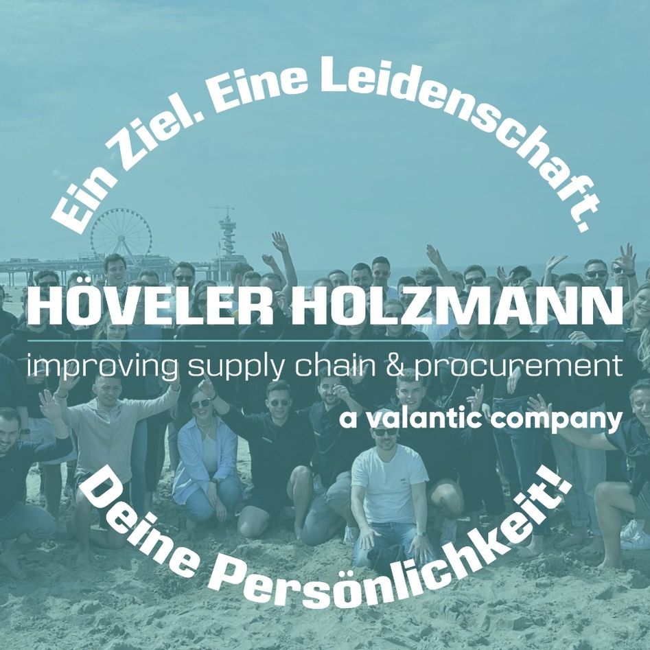 HÖVELER HOLZMANN CONSULTING