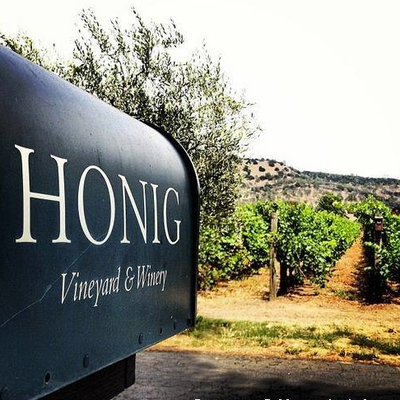 Honig Vineyard & Winery